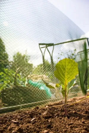 Apollo Plant Shading 10m x 660mm x 3mm