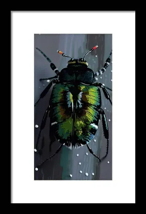 Beetle Focus - Framed Print