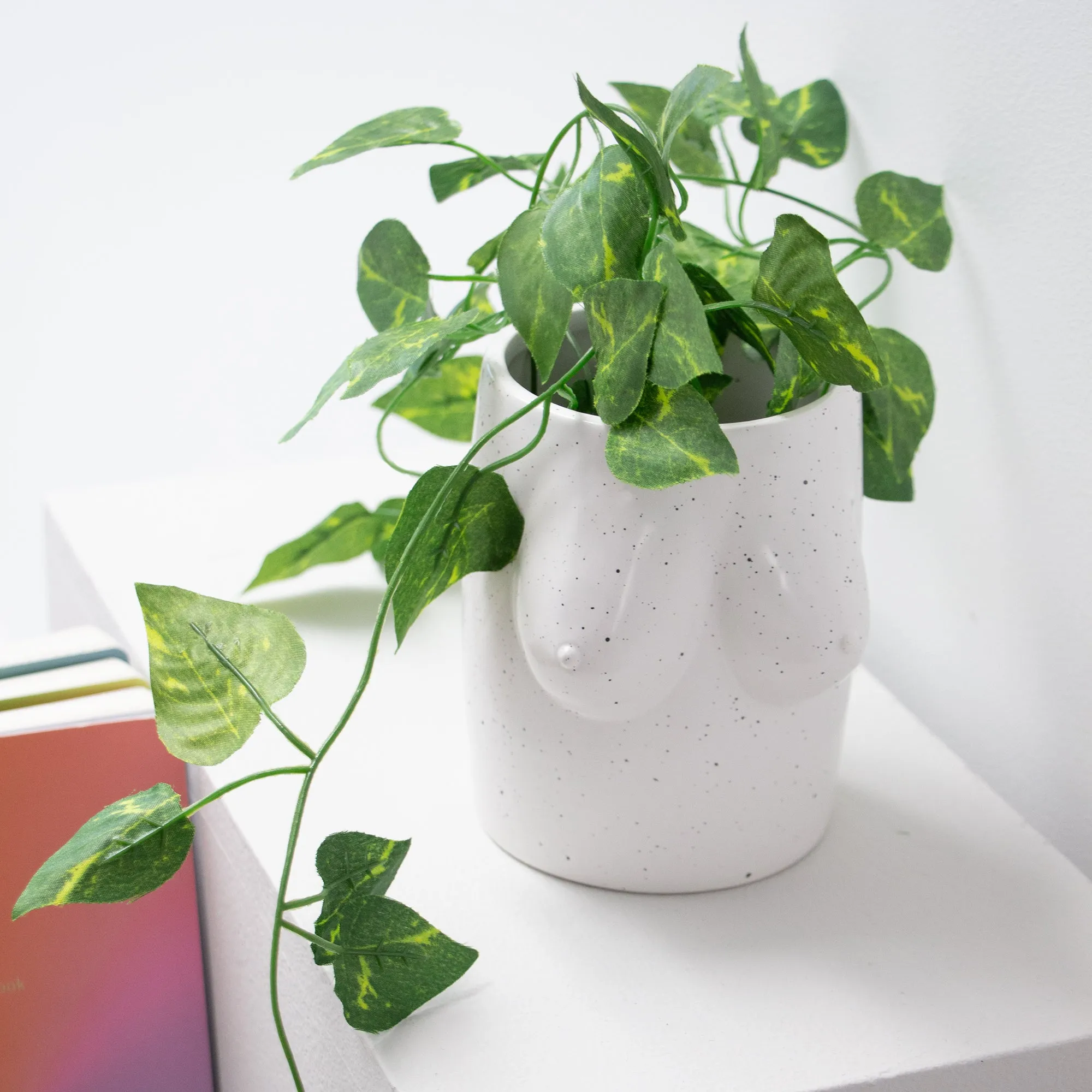 Body Shapes Boobs Vase | White