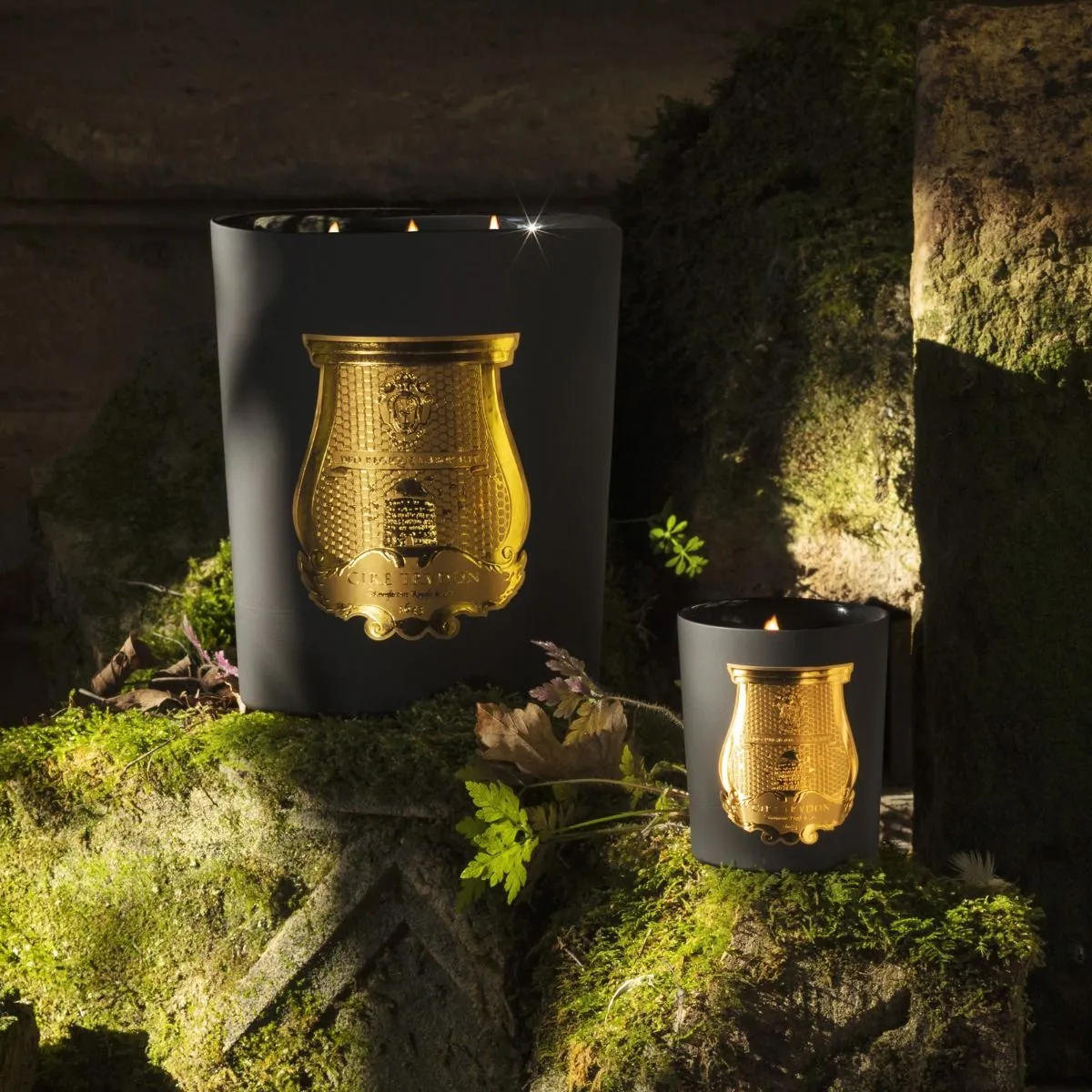 Cire Trudon | Mary Candle (Cedar and Gaiac wood)