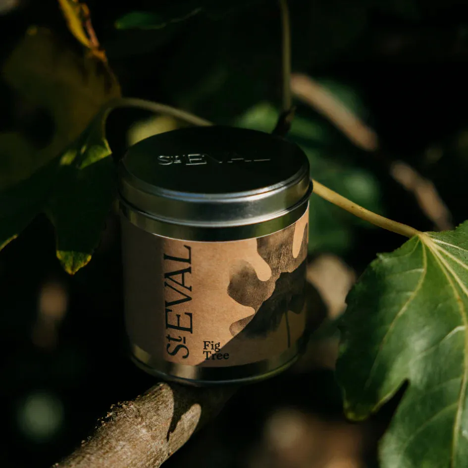 Fig Tree Scented Tin Candle