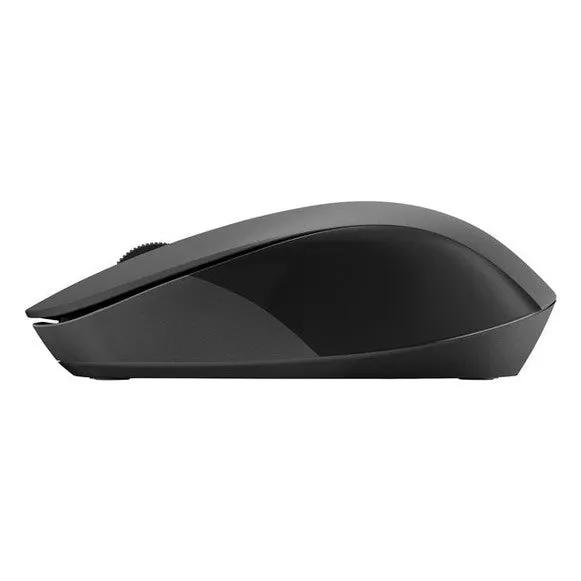 HP Wireless Mouse (Black) - Up to 10 Month Battery | 2S9L1AA-DP