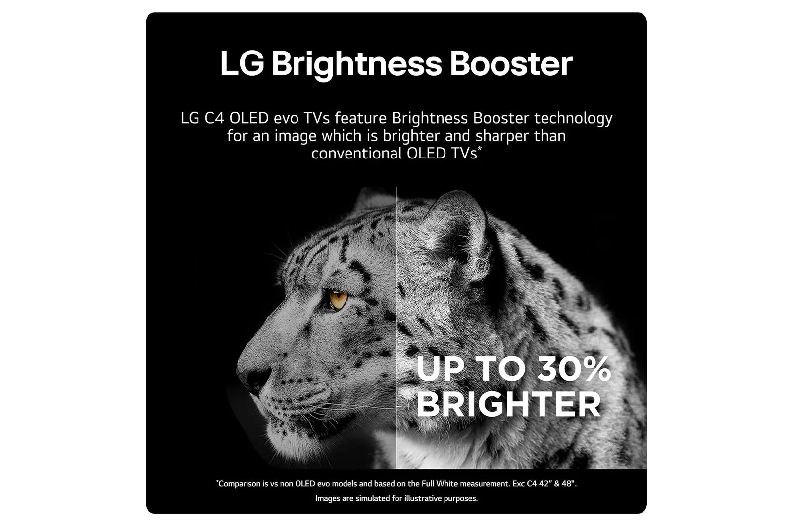 LG 48 Inch C4 OLED TV | OLED48C44LA.AEK