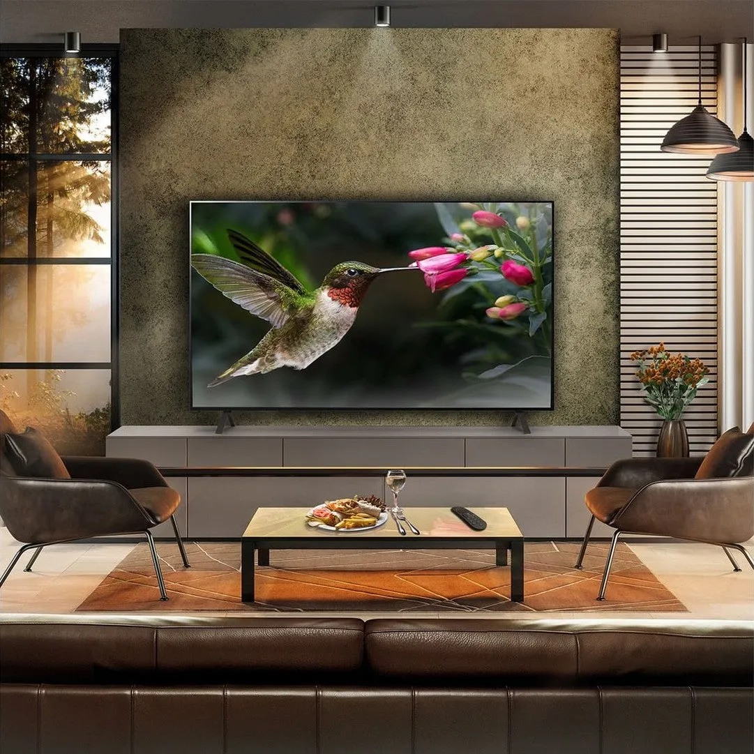 LG 65 Inch B4 OLED 4K Smart TV (2024) | OLED65B46LA.AEK