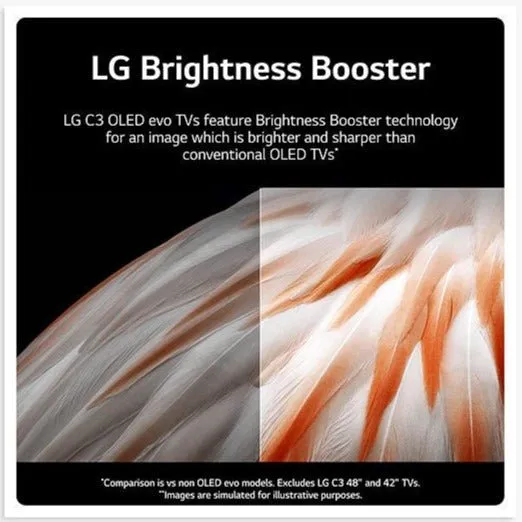 LG 65" C3 OLED EVO 4K Smart Television | OLED65C34LA.AEK
