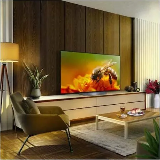 LG OLED B3 55 Inch 4K Smart TV 2023 | OLED55B36LA.AEK