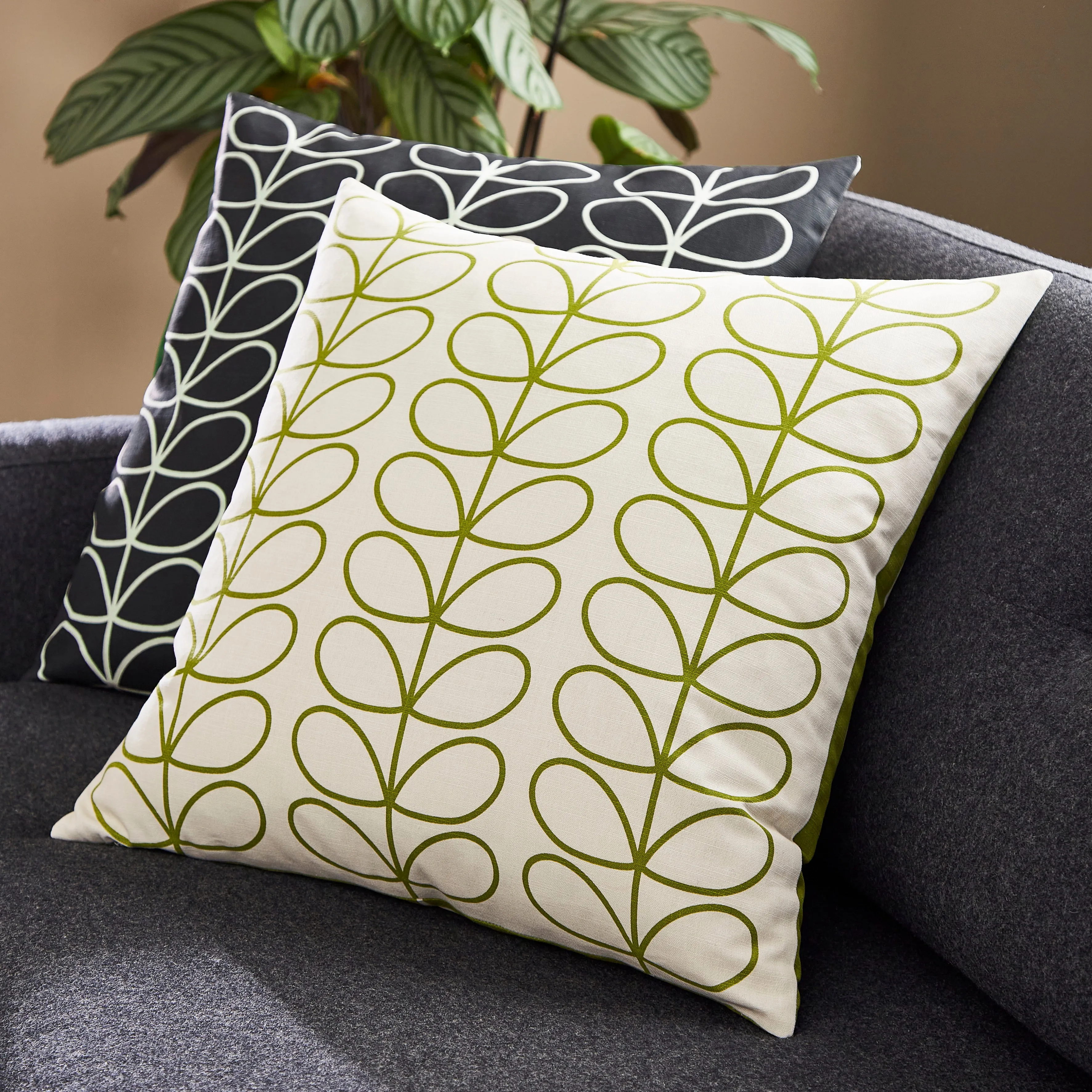 Linear Stem Cushion | Monochrome | 50x50cm