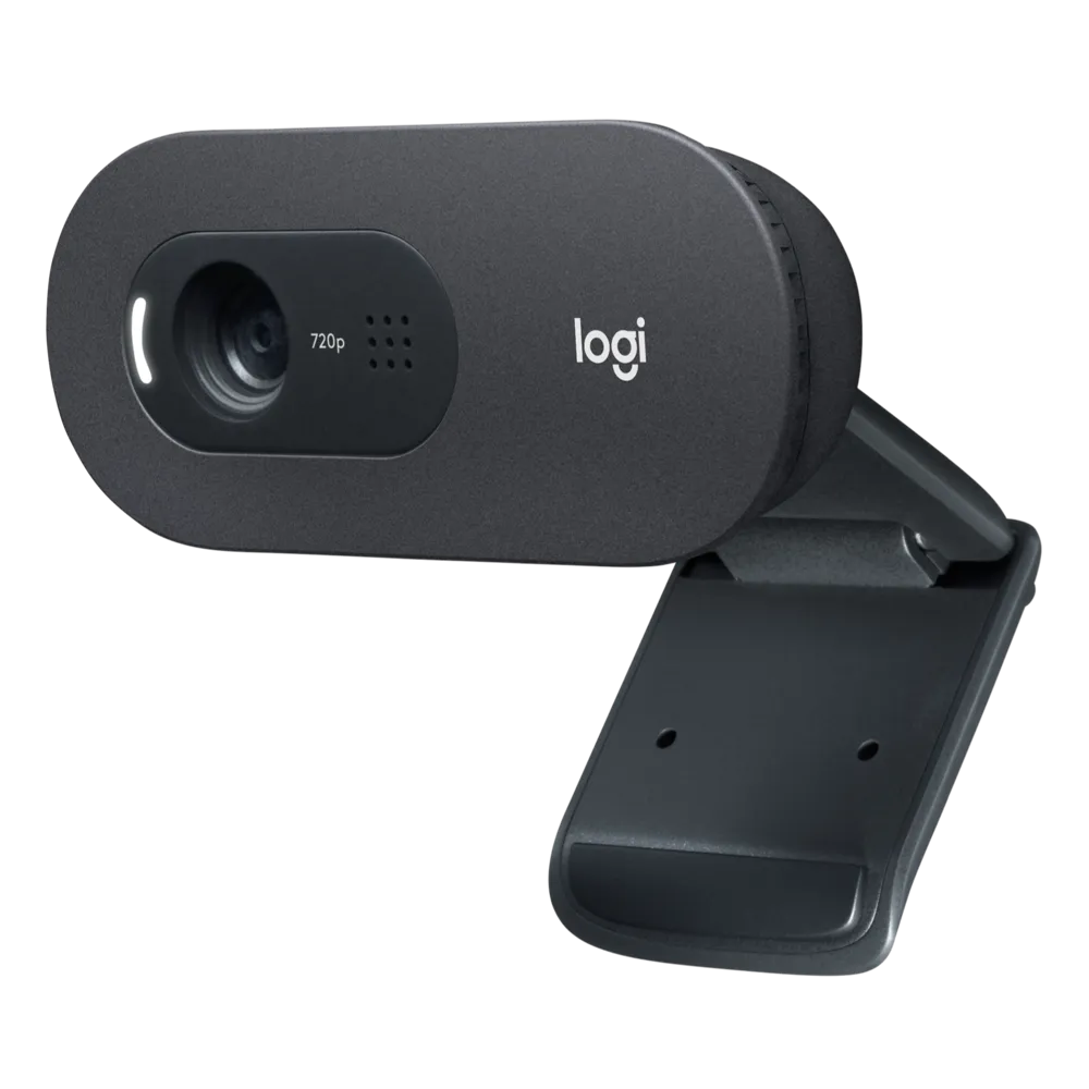Logitech C505 HD Webcam