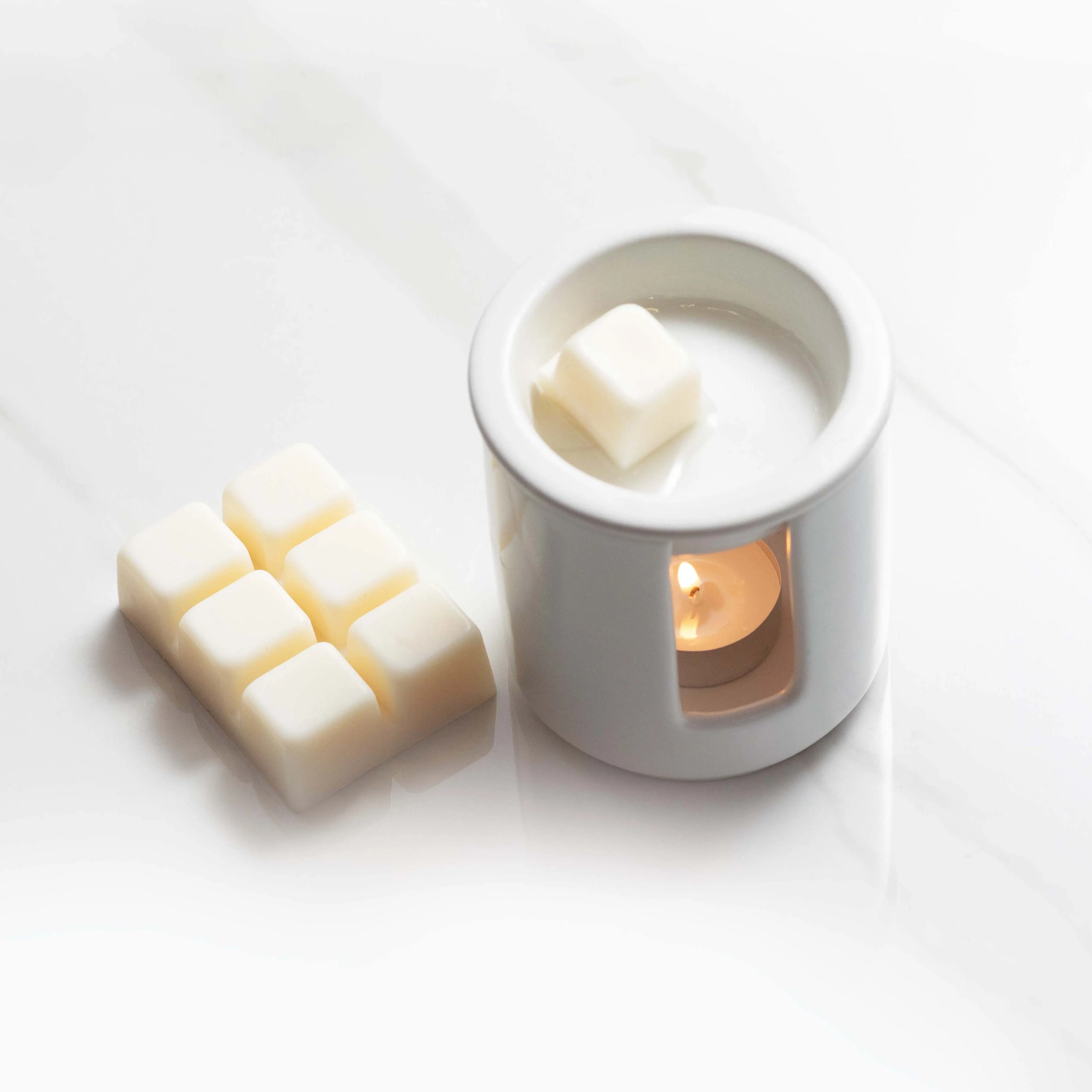 Modern Classics Ceramic Wax Melter & Soy Wax Bar | Pomegranate & Spiced Woods