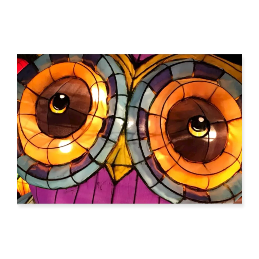 OWL Poster 12x8
