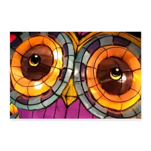 OWL Poster 12x8