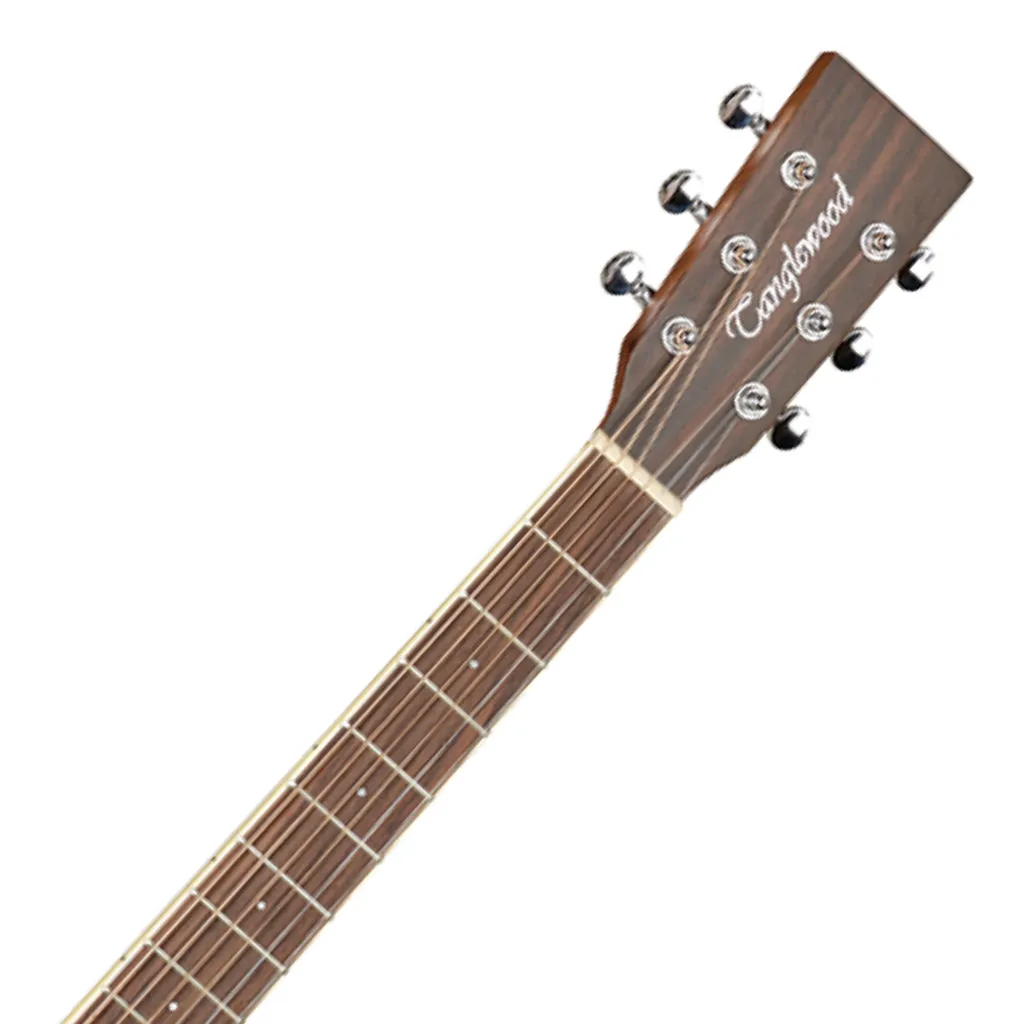 Tanglewood Winterleaf Dreadnought C/E