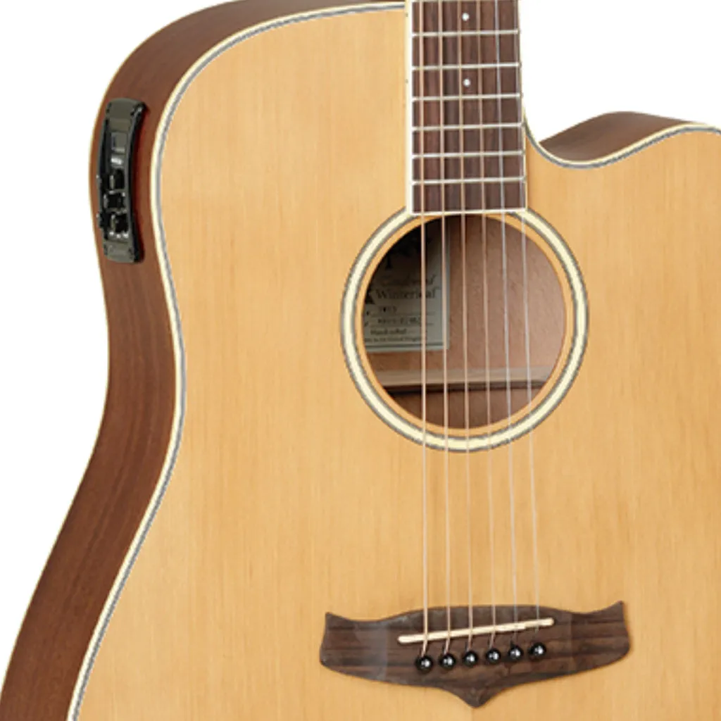 Tanglewood Winterleaf Dreadnought C/E