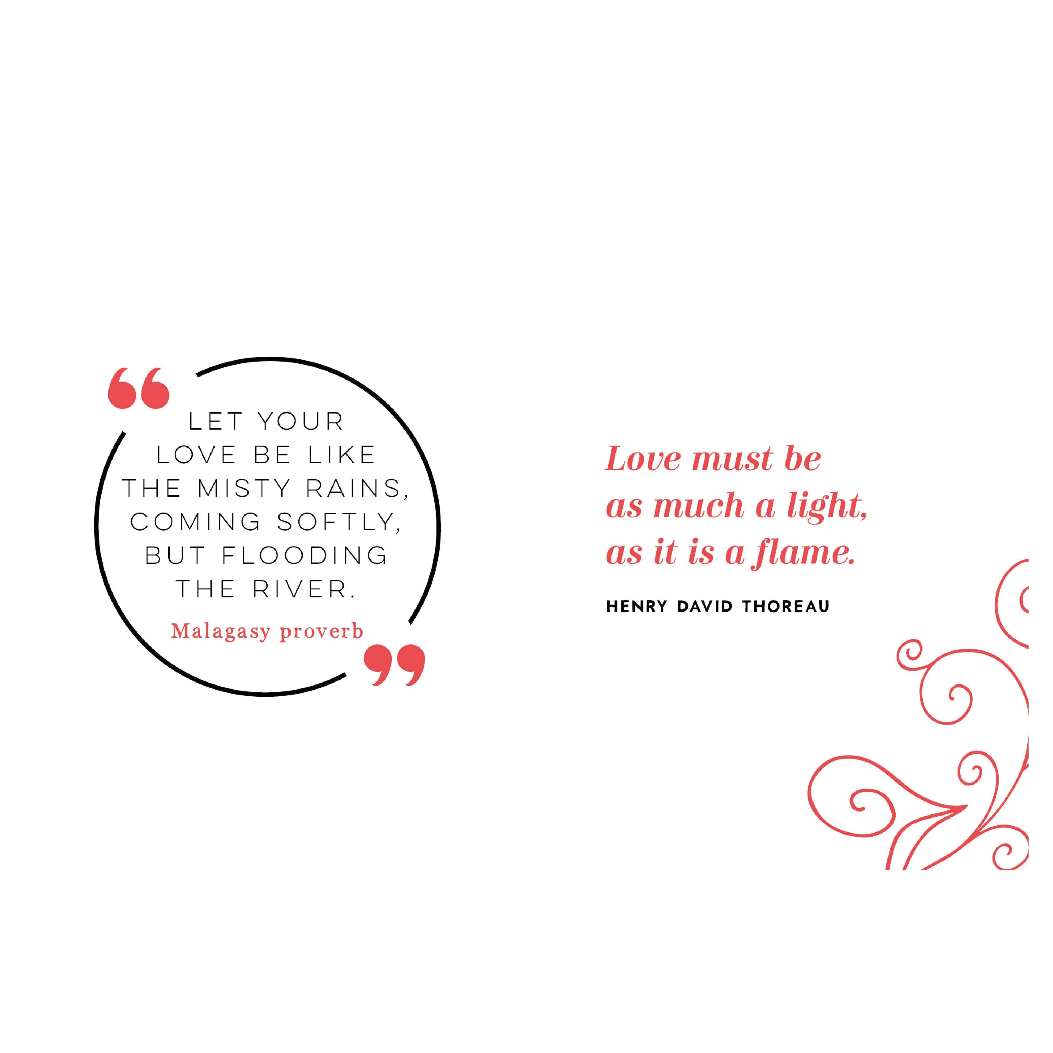 The Little Book of Love | Lucy Lane