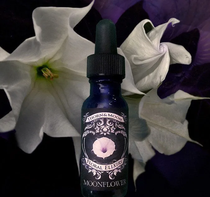 Thorn & Moon Floral Elixirs - Moonflower - Flower Essence