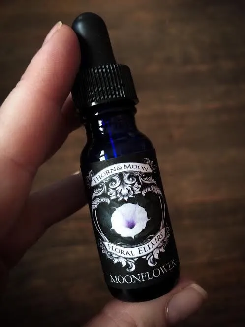 Thorn & Moon Floral Elixirs - Moonflower - Flower Essence
